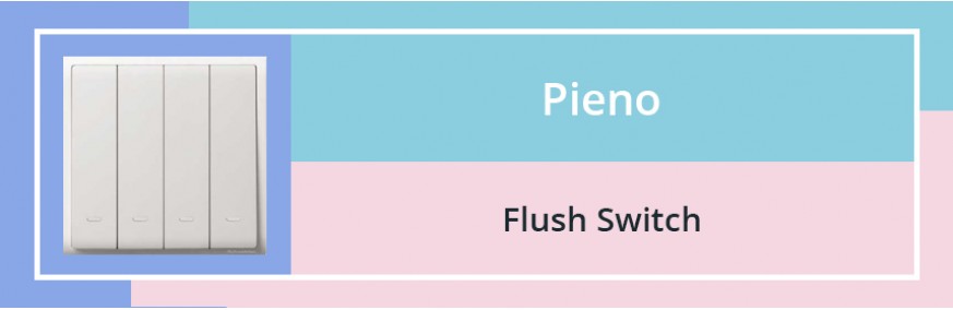Flush Switch